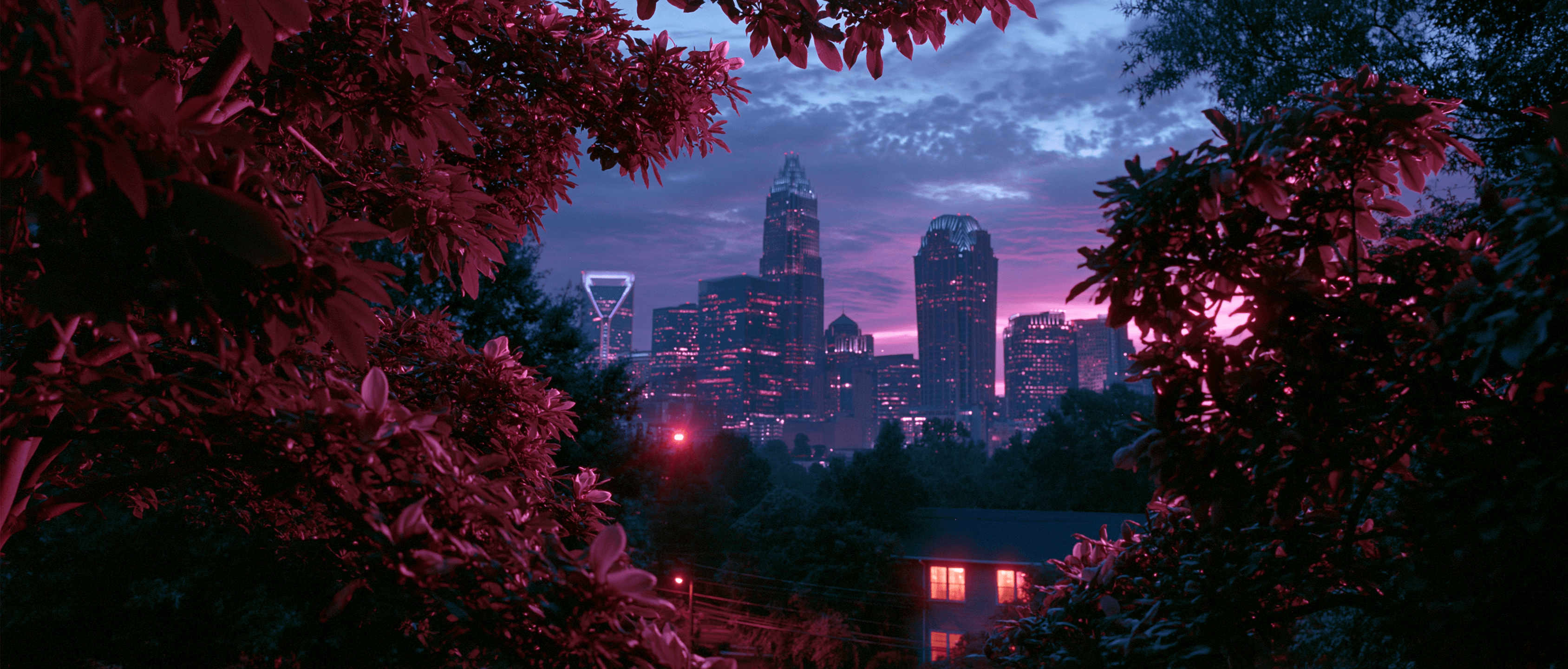 Charlotte Latin dance scene at twilight