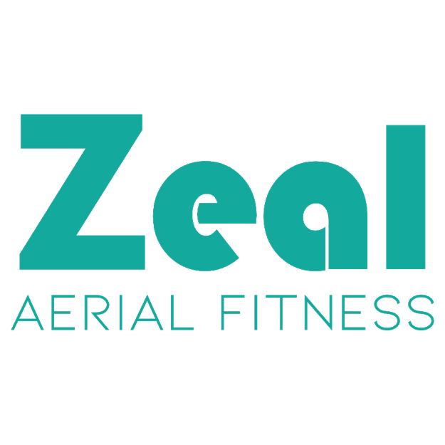 Zeal Aerial Fitness. Grand Rapids, MI