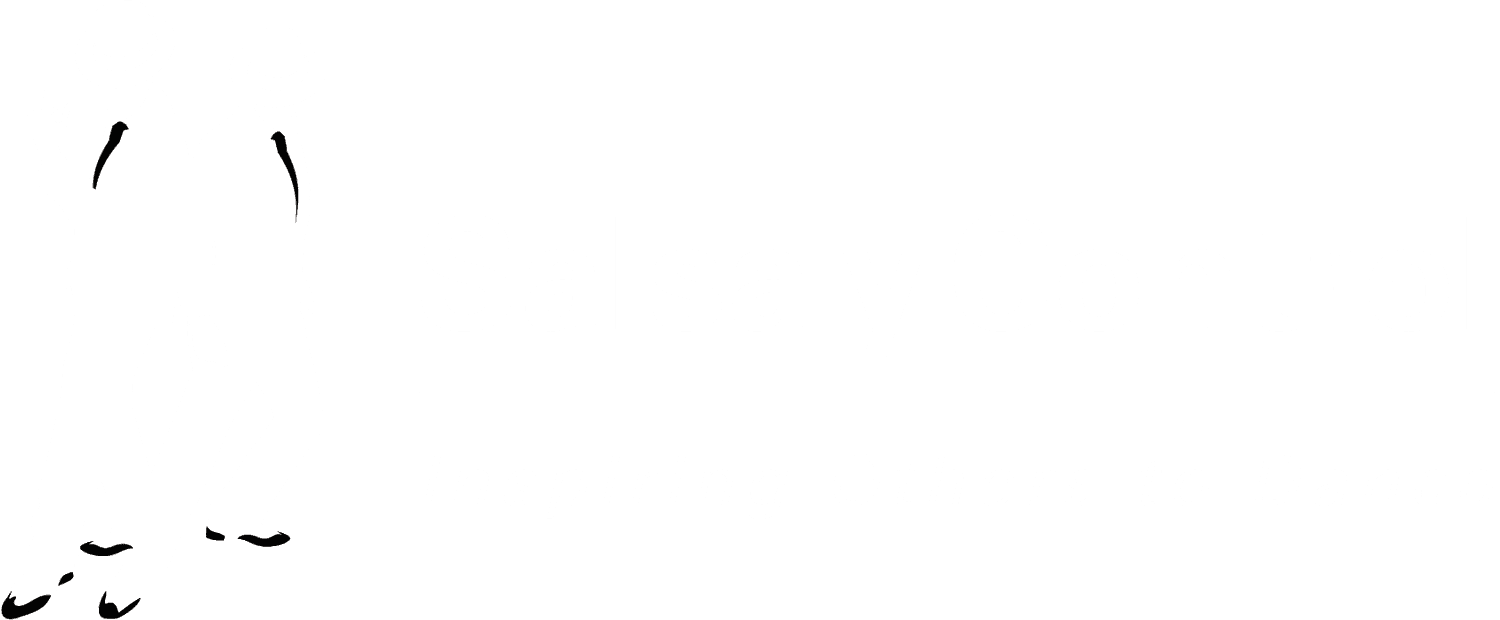 Salsa y Control. Boston, MA