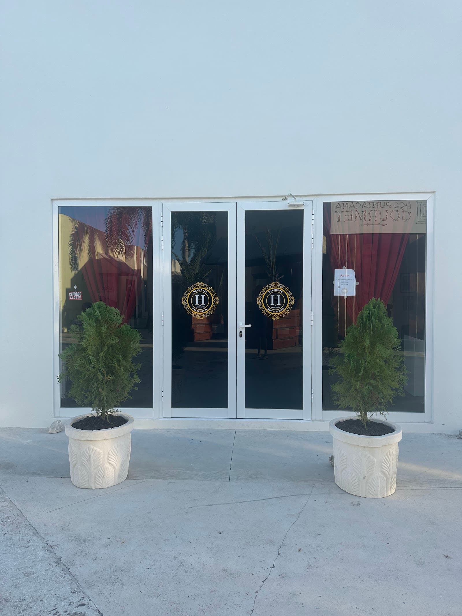 Harmonie Dance Studio. Higüey, LA ALTAGRACIA