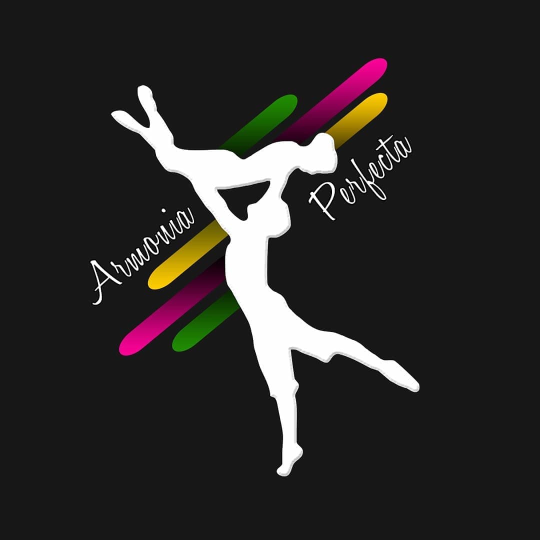 Academia Integral Armonia Perfecta. Santiago