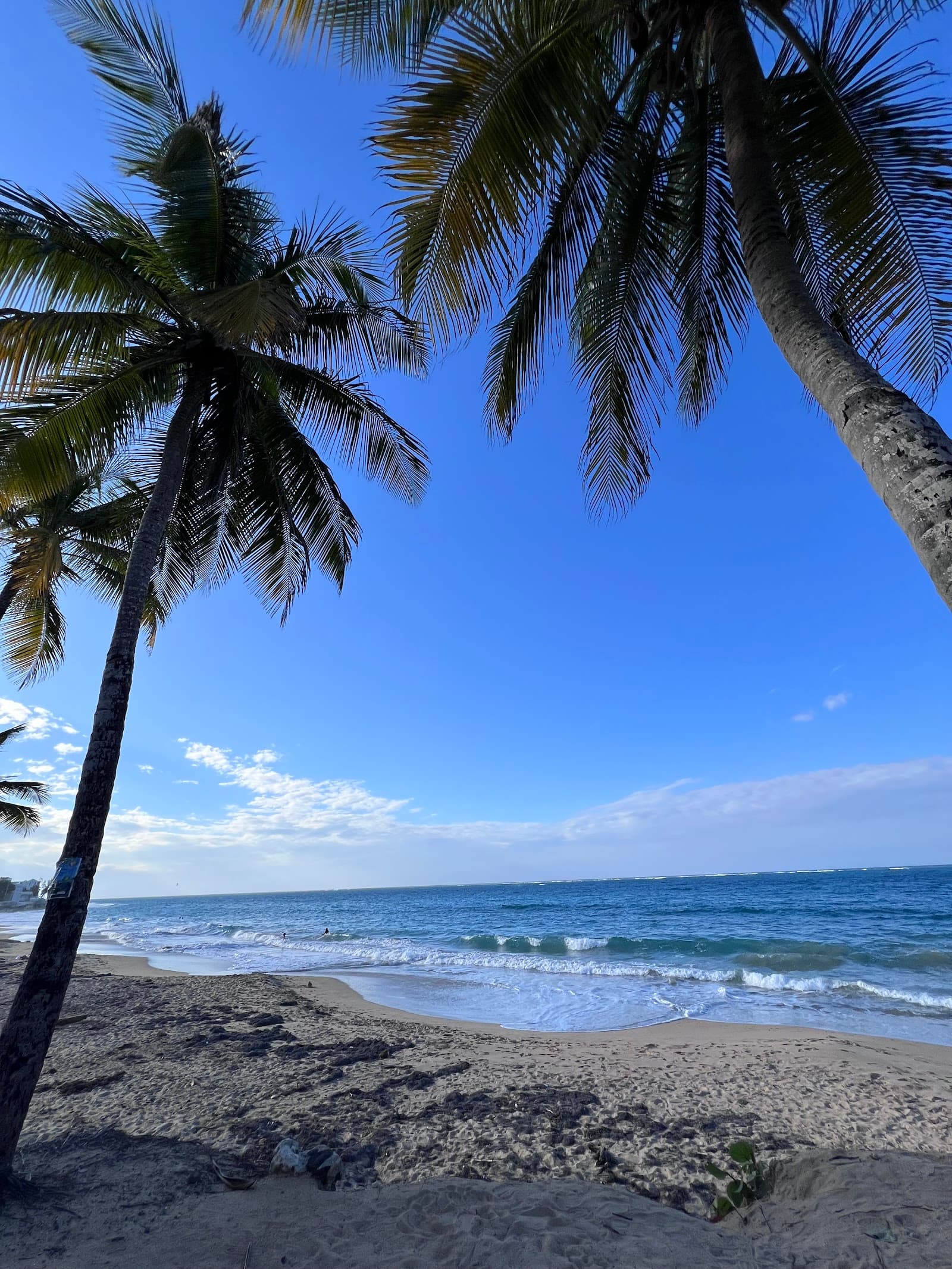 Salsa Tours PR LLC.. San Juan, PR