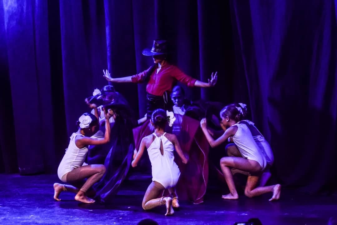 Danzas Auyantepui C.A.. Caracas