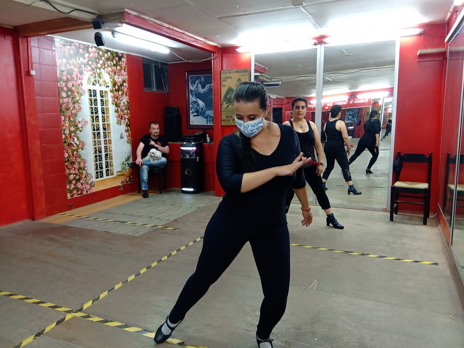 Medina flamenco. Bío Bío