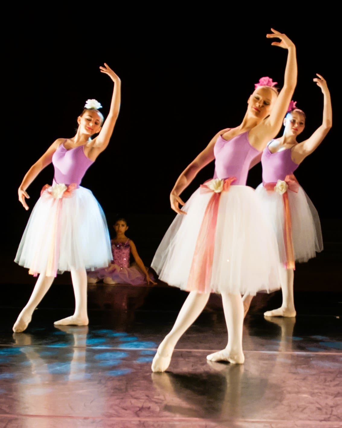 Dance and Circus Arts of Tampa Bay. Clearwater, FL