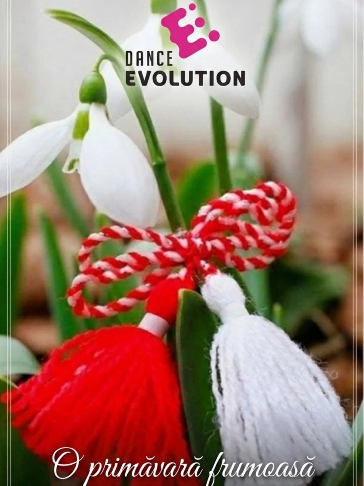 Dance EVOLUTION. Chișinău